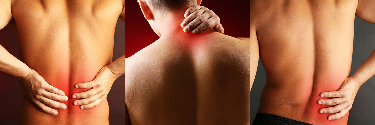Fotos Dorn - sanfte Wirbeltherapie von Xund-Massage